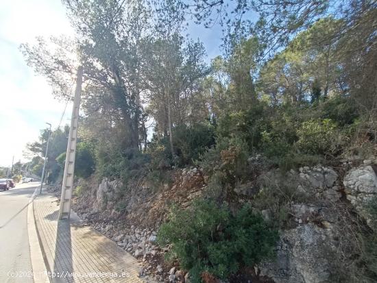 Terreno en Les Califòrnies, económico y con vistas - BARCELONA