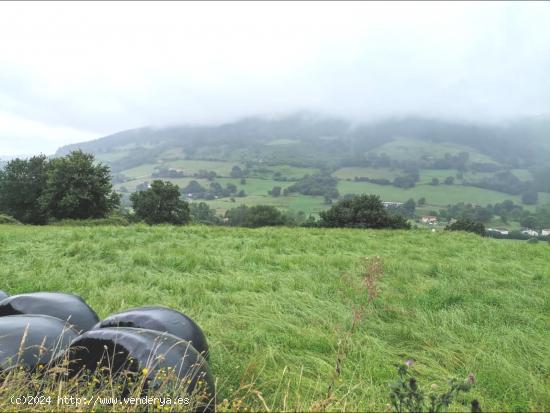 Terreno rustico en Santa Maria de Cayon - CANTABRIA