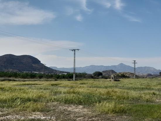 PARCELA  RUSTICA EN ALICANTE . LA ALCORAYA (LAS INDIAS ) - ALICANTE