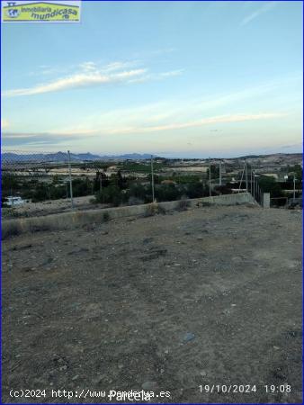 Terreno de 1.000 m2 vallado - MURCIA