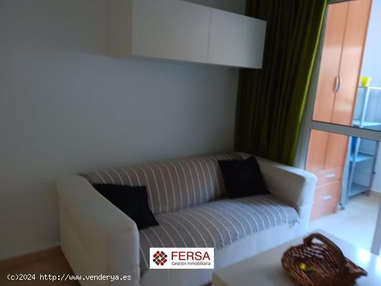  BONITO APARTAMENTO EN ALQUILER ANUAL - ZONA PLAZA DE LA NORIA - CADIZ 