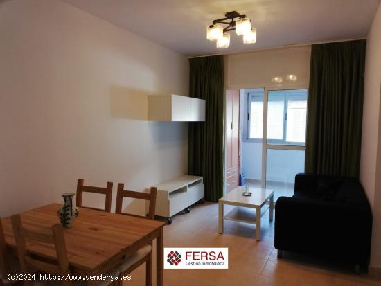 BONITO APARTAMENTO EN ALQUILER ANUAL - ZONA PLAZA DE LA NORIA - CADIZ