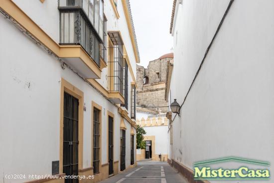  EXCLUSIVA Piso en San miguel renta libre - CADIZ 