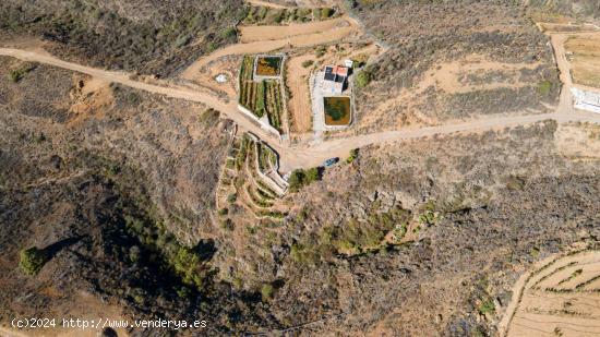  Finca  Rústica en Arico con acciones de agua. - SANTA CRUZ DE TENERIFE 