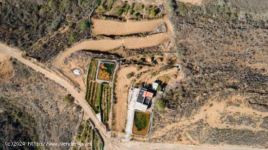 Finca  Rústica en Arico con acciones de agua. - SANTA CRUZ DE TENERIFE