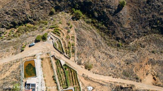 Finca  Rústica en Arico con acciones de agua. - SANTA CRUZ DE TENERIFE