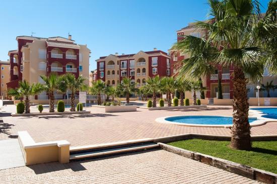 APARTAMENTO EN LOS NAREJOS - LOS ALCAZARES - MURCIA