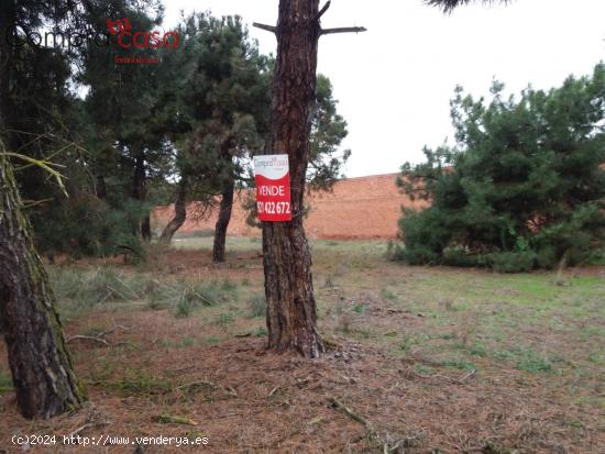 VENTA.-.PIMPOLLADAS.-.NAVAS DE ORO.-.DOCUMENTACION AL DIA.- - SEGOVIA