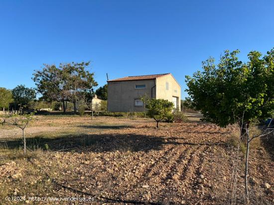 ALMACEN-VIVIENDA, CON TERRENO DE 9.177 M2 EN ZONA RURAL - VALENCIA