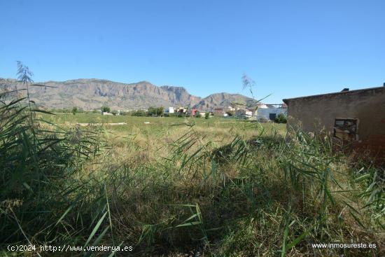 Solar en Orihuela zona Ctra. de Beniel, 969 m2. de superficie con casa habitación. - ALICANTE