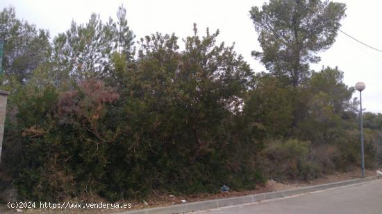 ¡OPORTUNIDAD DE TERRENO URBANO EN LA BISBAL DEL PENEDÈS! - TARRAGONA