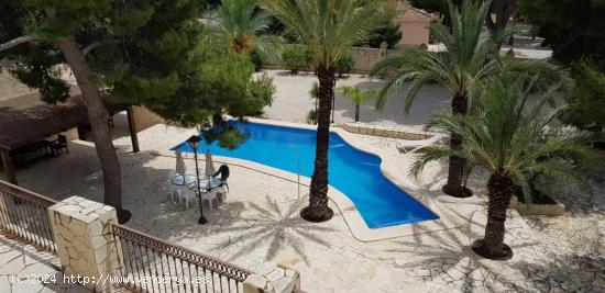 CHALET ESPECTACULAR EN UNA ZONA PRIVILEGIADA. CON UN ENCANTO ESPECIAL - ALICANTE