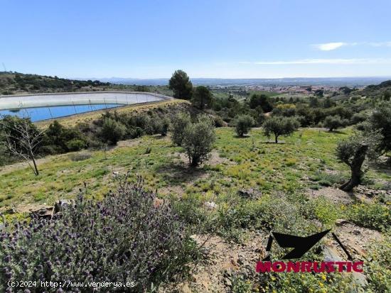 FINCA RUSTICA EN VENTA A 5 MINUTOS DEL PUEBLO DE LA SELVA DEL CAMP CON BALSA Y POZO PROPIO - TARRAGO