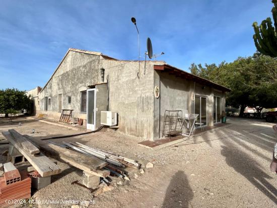 FINCA RURAL A UN PASO DE LA CIUDAD DE ELCHE - ALICANTE