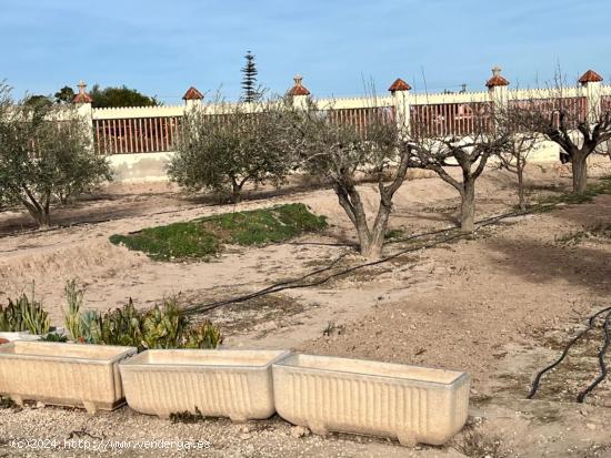 FINCA RURAL A UN PASO DE LA CIUDAD DE ELCHE - ALICANTE