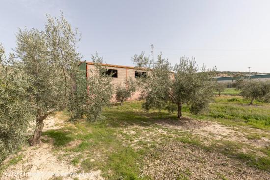 PARCELA DE 2.000 m2 CON NAVE DE 200 m2. - GRANADA