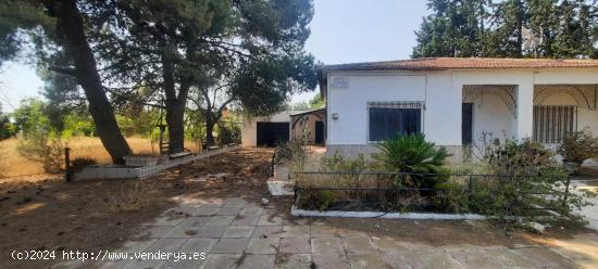 OPORTUNIDAD, SE VENDE ESTUPENDA VIVIENDA EN EL FENAZAR - MURCIA