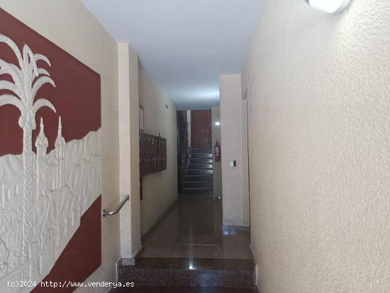 OPORTUNIDAD, SE VENDE PISO CALLE SANTA ROSA - MURCIA