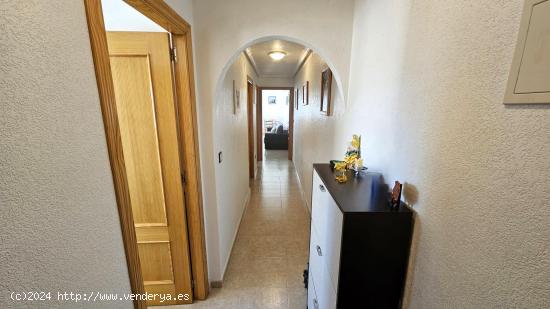 APARTAMENTO EN ESQUINA DE 2 DORMITORIOS EXTERIORES CON PISCINA Y PARKING EN NUEVA TORREVIEJA! - ALIC