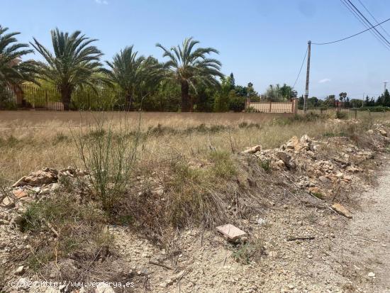 Parcela en la zona de Perleta muy bien ubicada junto a la carretera - ALICANTE