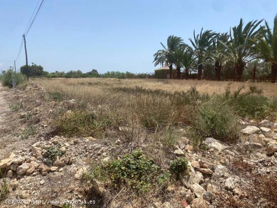 Parcela en la zona de Perleta muy bien ubicada junto a la carretera - ALICANTE