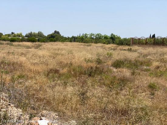 Parcela en la zona de Perleta muy bien ubicada junto a la carretera - ALICANTE