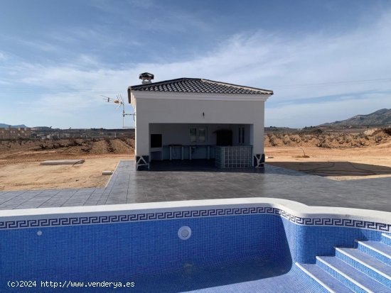 Villa en venta a estrenar en Pinoso (Alicante)