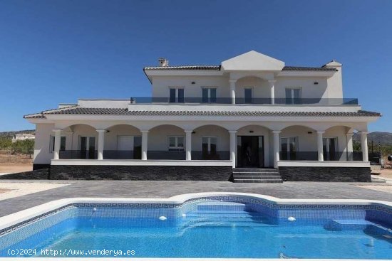 Villa en venta a estrenar en Pinoso (Alicante)