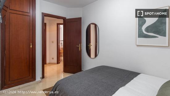 Se alquila habitación en piso compartido en Alicante - ALICANTE