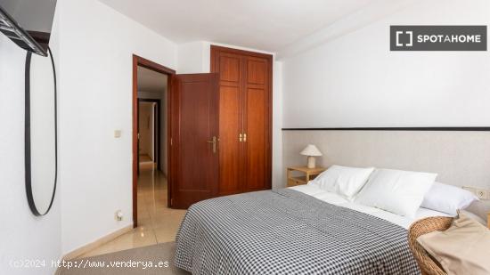 Se alquila habitación en piso compartido en Alicante - ALICANTE