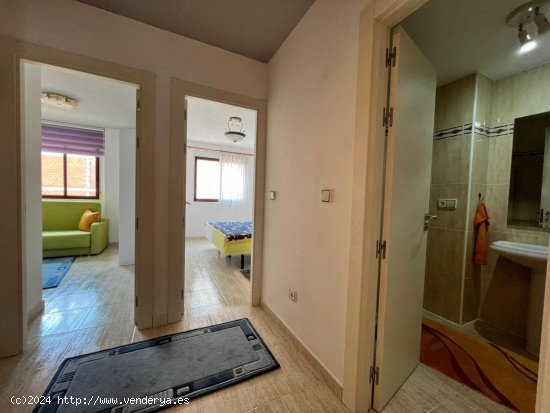 Apartamento en venta en Torrevieja (Alicante)