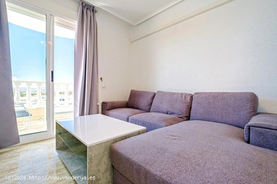 Apartamento en alquiler en Torrevieja (Alicante)