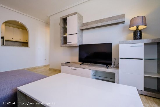 Apartamento en alquiler en Torrevieja (Alicante)