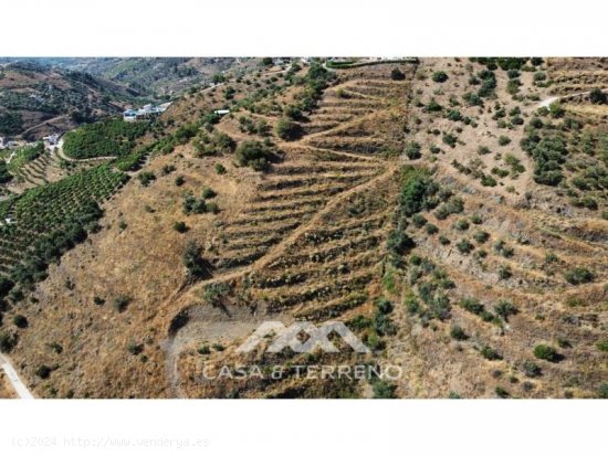 Finca en venta en Frigiliana (Málaga)