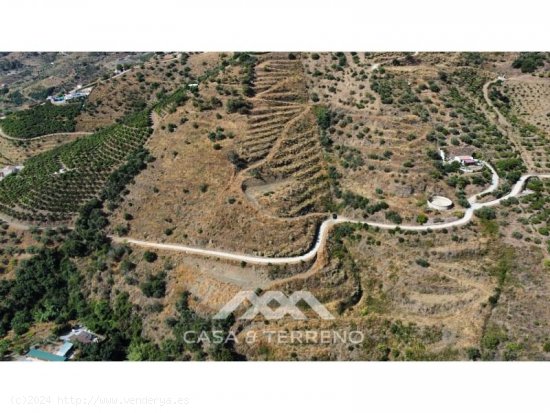 Finca en venta en Frigiliana (Málaga)