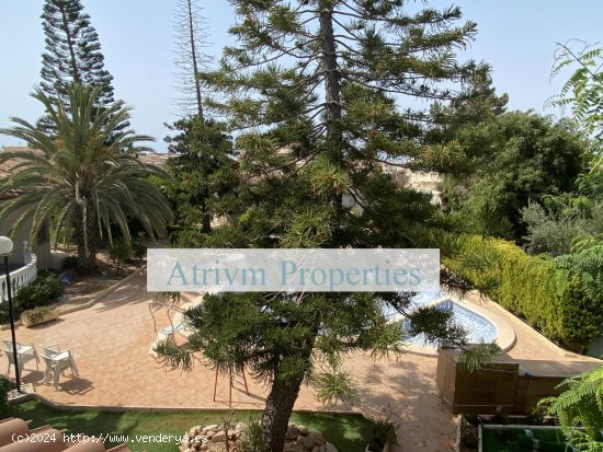 Apartamento en alquiler en Orihuela (Alicante)