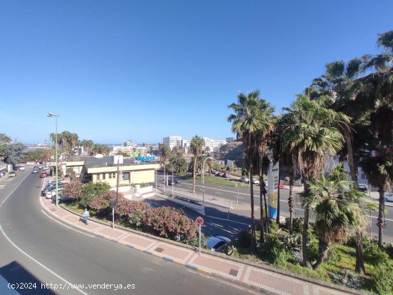  Piso en alquiler en Las Palmas de Gran Canaria (Las Palmas) 