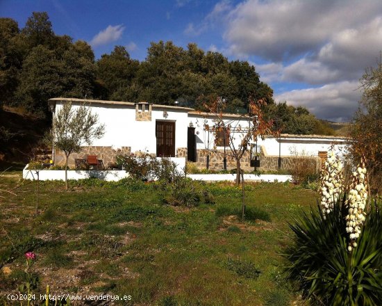  Casa en venta en Alpujarra de la Sierra (Granada) 