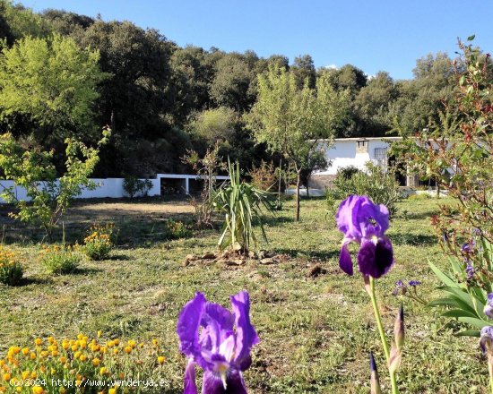 Casa en venta en Alpujarra de la Sierra (Granada)