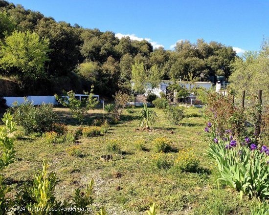 Casa en venta en Alpujarra de la Sierra (Granada)