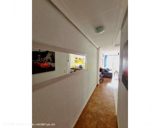 Apartamento en alquiler en Torrevieja (Alicante)