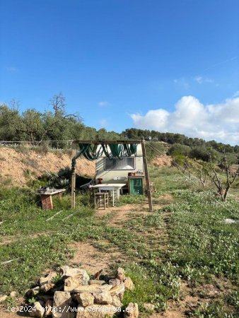 Solar en venta en La Fatarella (Tarragona)