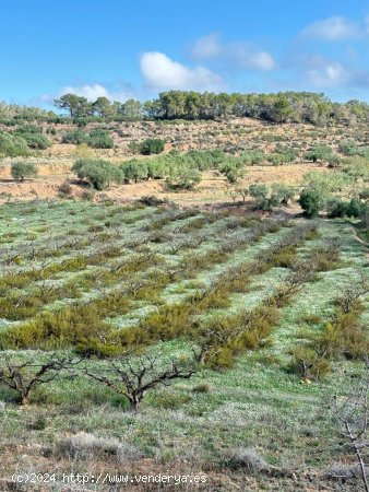 Solar en venta en La Fatarella (Tarragona)