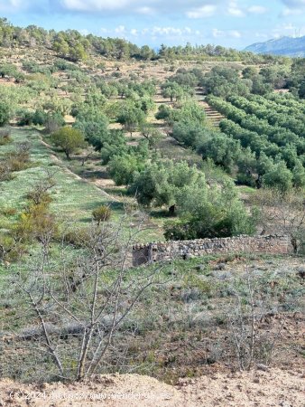 Solar en venta en La Fatarella (Tarragona)