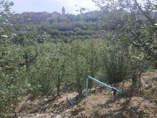 Finca en venta en L Aleixar (Tarragona)