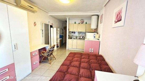 Estudio en venta en Torrevieja (Alicante)