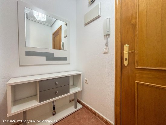 Apartamento en alquiler en Torrevieja (Alicante)