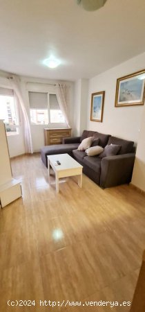 Apartamento en alquiler en Torrevieja (Alicante)