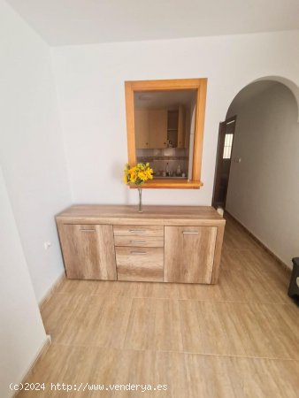 Apartamento en alquiler en Torrevieja (Alicante)