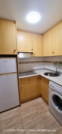 Apartamento en alquiler en Torrevieja (Alicante)